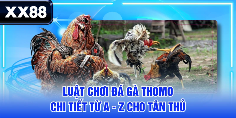 Luật Chơi Đá Gà Thomo Chi Tiết Từ A - Z Cho Tân Thủ